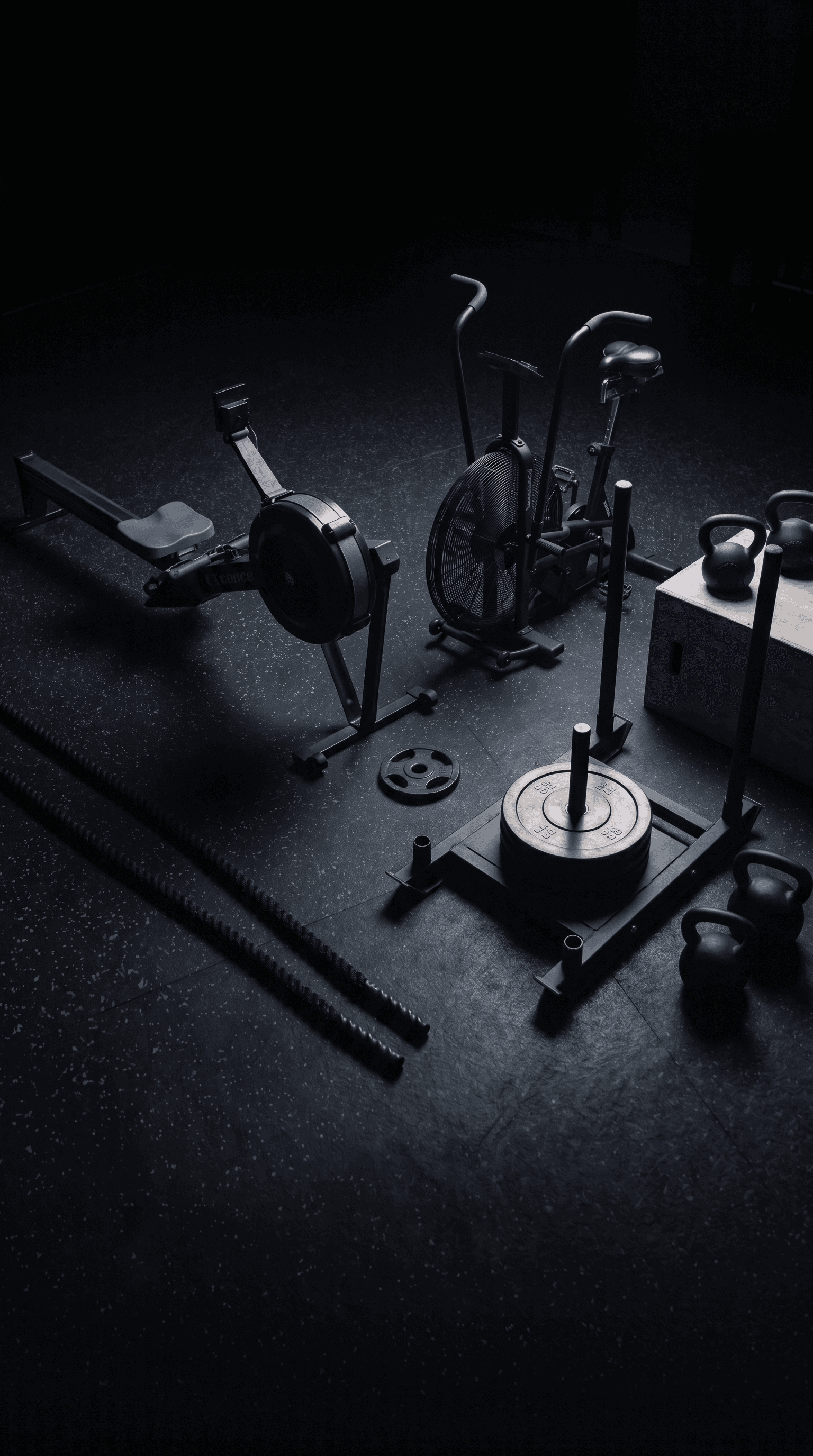 Cardio & Fonctionnel